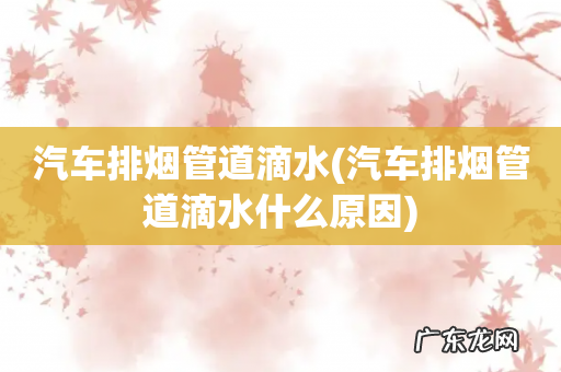 汽车排烟管道滴水什么原因 汽车排烟管道滴水