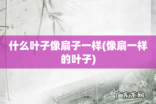 像扇一样的叶子 什么叶子像扇子一样