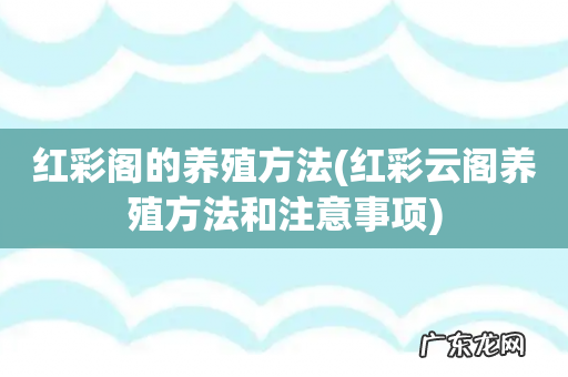 红彩云阁养殖方法和注意事项 红彩阁的养殖方法