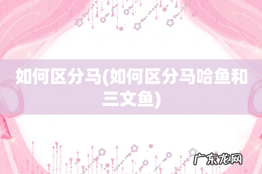 如何区分马哈鱼和三文鱼 如何区分马