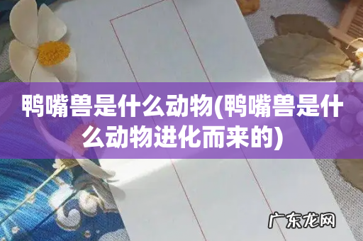 鸭嘴兽是什么动物进化而来的 鸭嘴兽是什么动物