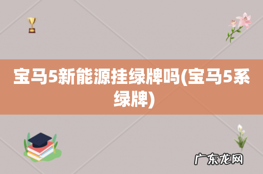 宝马5系 绿牌 宝马5新能源挂绿牌吗