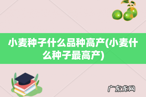 小麦什么种子最高产 小麦种子什么品种高产