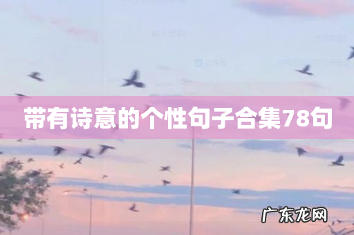 带有诗意的个性句子合集78句