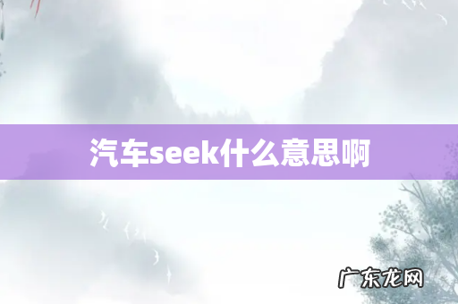 汽车seek什么意思啊