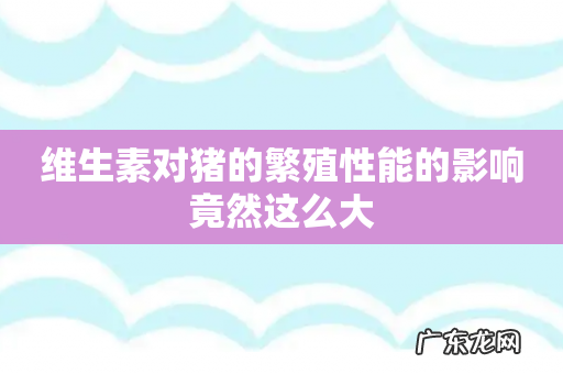维生素对猪的繁殖性能的影响竟然这么大