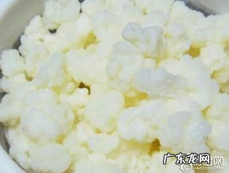 雪莲菌泡牛奶可以长期喝吗 天山雪莲菌种