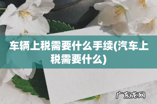 汽车上税需要什么 车辆上税需要什么手续