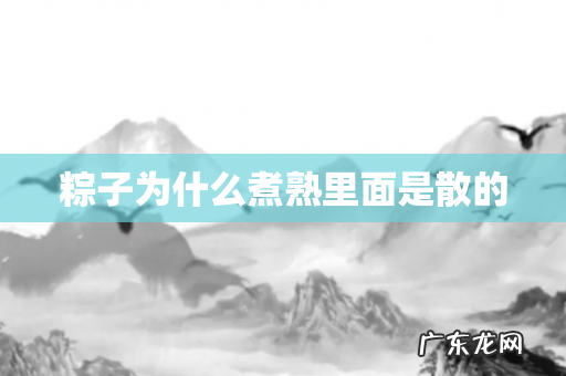 粽子为什么煮熟里面是散的