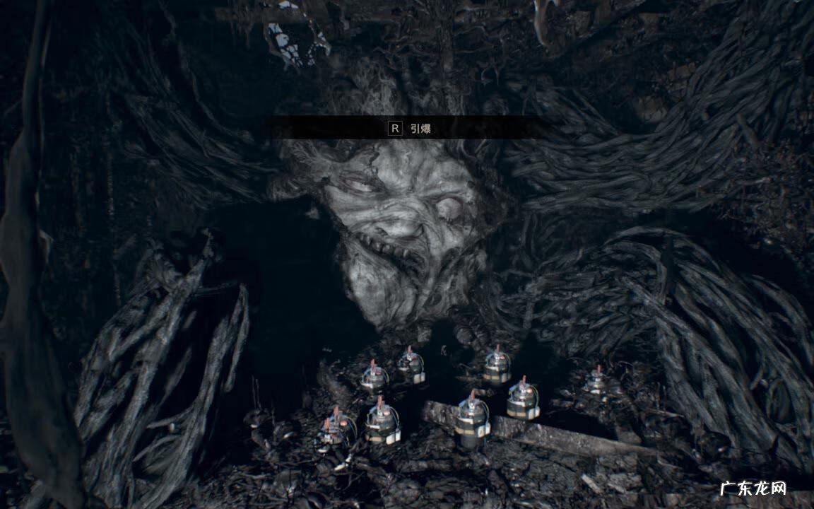 艾斯卡尔 艾达 卡拉