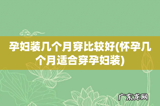 怀孕几个月适合穿孕妇装 孕妇装几个月穿比较好
