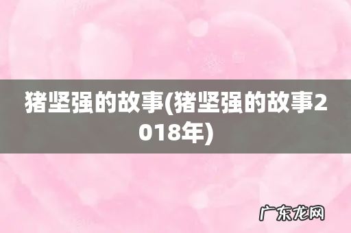 猪坚强的故事2018年 猪坚强的故事