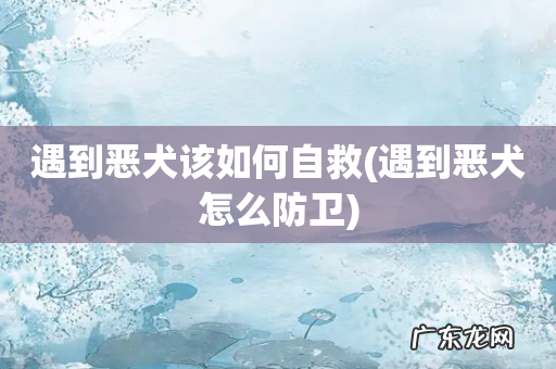 遇到恶犬怎么防卫 遇到恶犬该如何自救