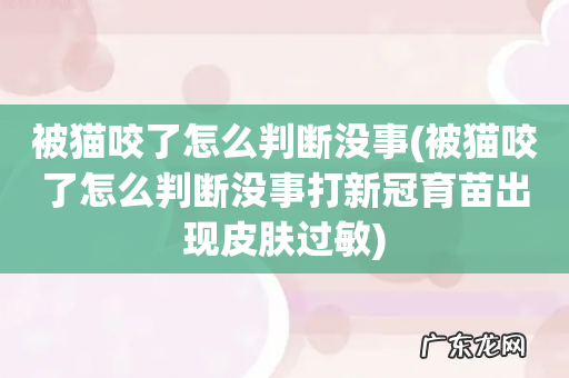 被猫咬了怎么判断没事打新冠育苗出现皮肤过敏 被猫咬了怎么判断没事