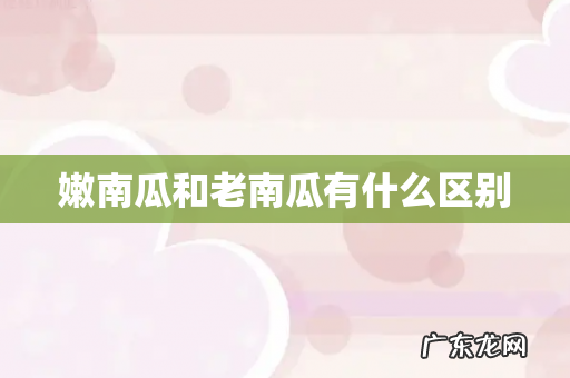 嫩南瓜和老南瓜有什么区别