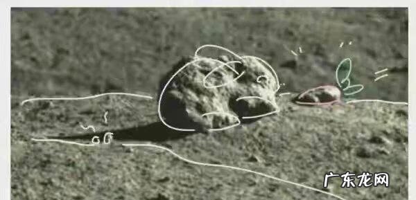 晚上的兔子 兔子之夜成就