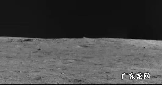 晚上的兔子 兔子之夜成就