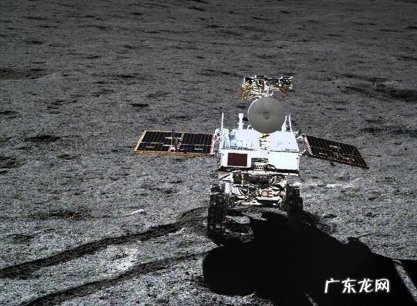 晚上的兔子 兔子之夜成就