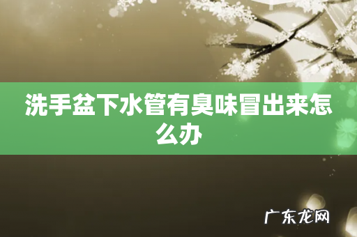 洗手盆下水管有臭味冒出来怎么办