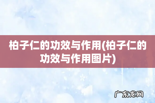 柏子仁的功效与作用图片 柏子仁的功效与作用