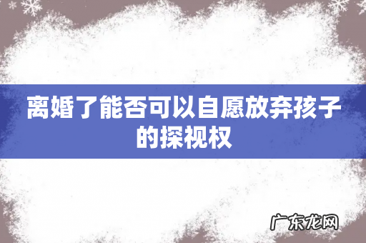 离婚了能否可以自愿放弃孩子的探视权