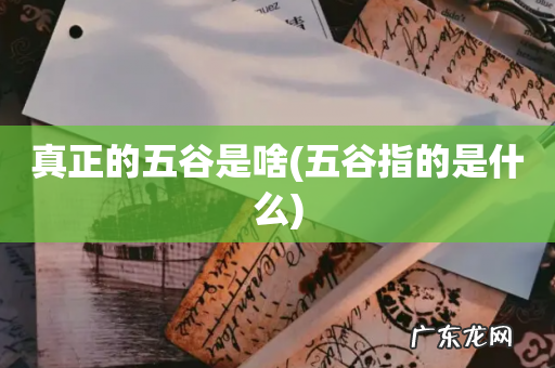 五谷指的是什么 真正的五谷是啥