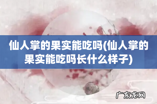 仙人掌的果实能吃吗长什么样子 仙人掌的果实能吃吗