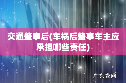 车祸后肇事车主应承担哪些责任 交通肇事后