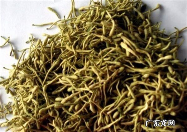 吃什么能补血 吃什么可以补血活血