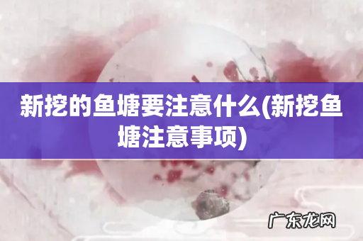 新挖鱼塘注意事项 新挖的鱼塘要注意什么