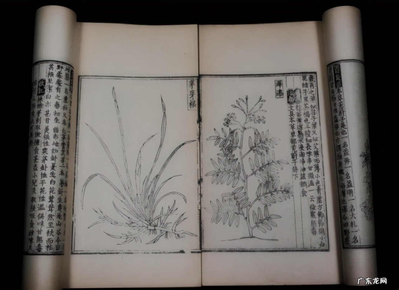 楼房三层的风水 三层龙虎风水