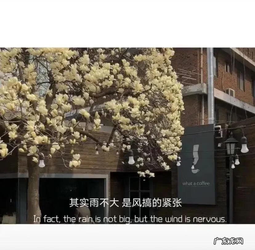 风水轮流转意思 风水轮流转的时候我希望