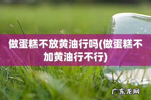 做蛋糕不加黄油行不行 做蛋糕不放黄油行吗