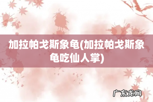 加拉帕戈斯象龟吃仙人掌 加拉帕戈斯象龟