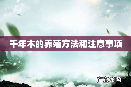 千年木的养殖方法和注意事项