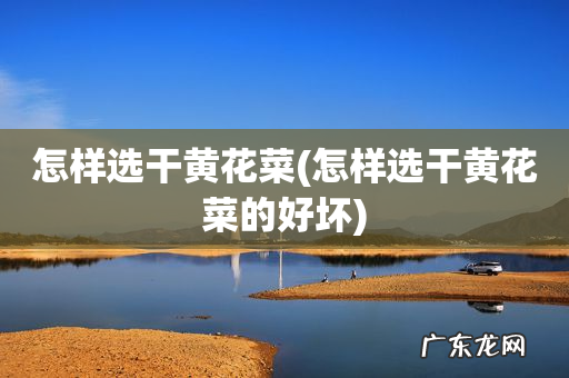 怎样选干黄花菜的好坏 怎样选干黄花菜