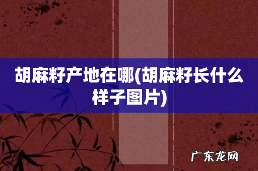 胡麻籽长什么样子图片 胡麻籽产地在哪