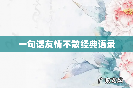 一句话友情不散经典语录