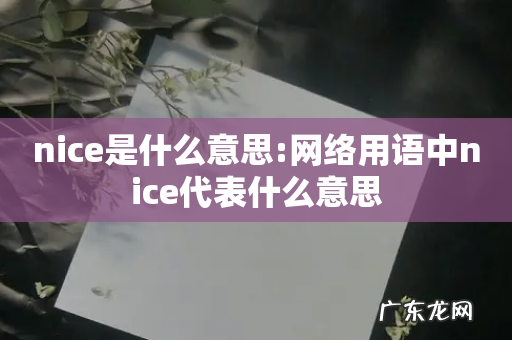 nice是什么意思:网络用语中nice代表什么意思
