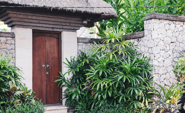 院子里种果树风水好不好 房前屋后种什么果树风水好