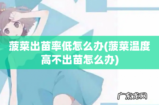 菠菜温度高不出苗怎么办 菠菜出苗率低怎么办