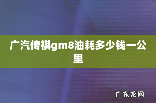 广汽传祺gm8油耗多少钱一公里