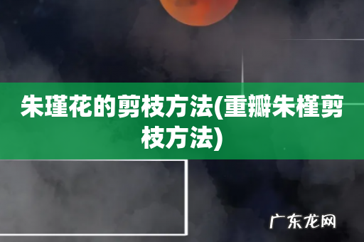 重瓣朱槿剪枝方法 朱瑾花的剪枝方法