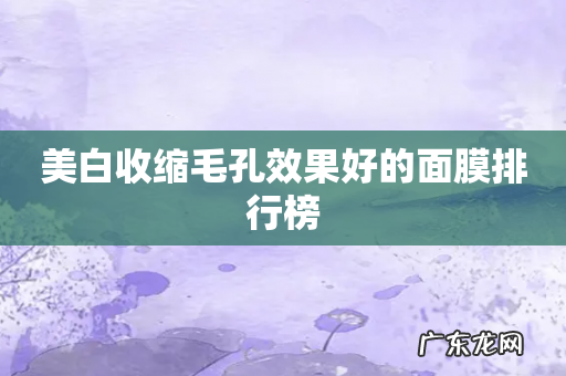 美白收缩毛孔效果好的面膜排行榜