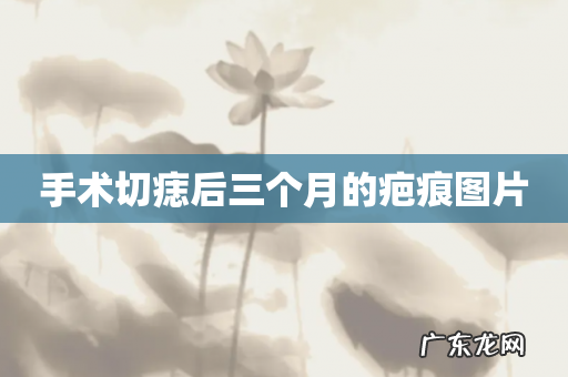 手术切痣后三个月的疤痕图片