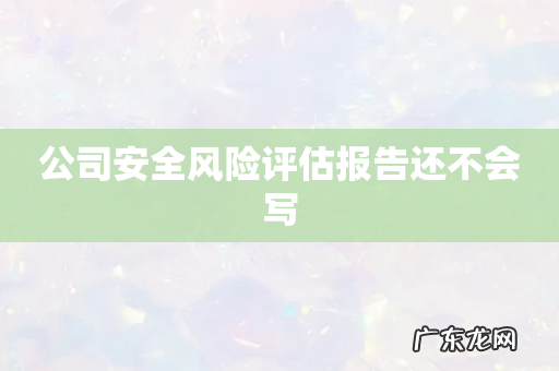 公司安全风险评估报告还不会写