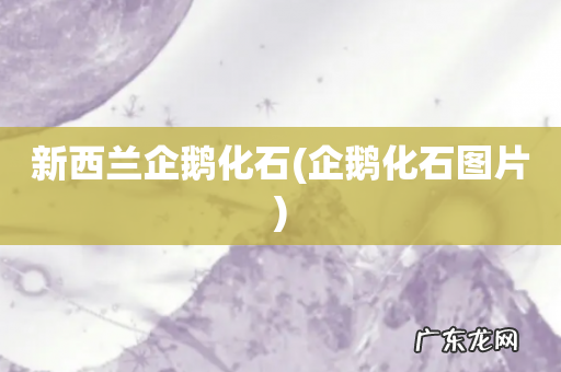 企鹅化石图片 新西兰企鹅化石