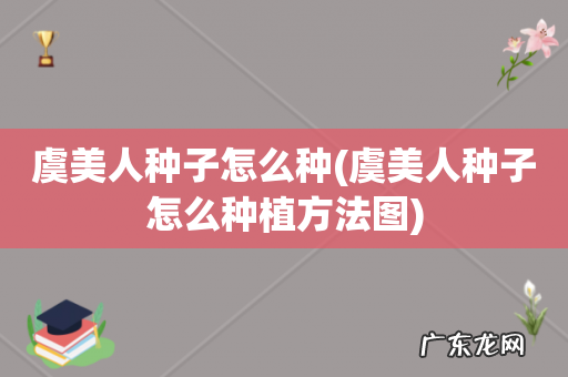 虞美人种子怎么种植方法图 虞美人种子怎么种