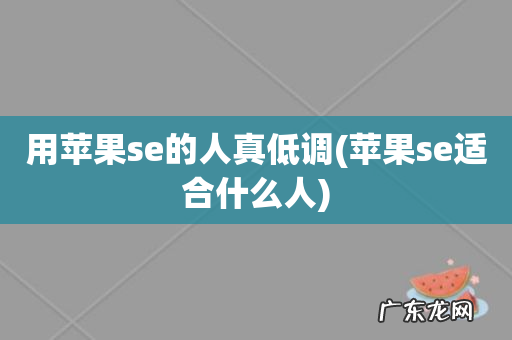 苹果se适合什么人 用苹果se的人真低调