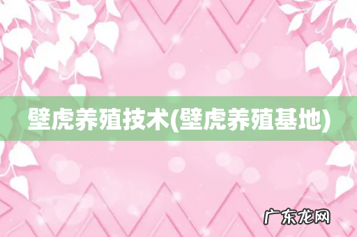 壁虎养殖基地 壁虎养殖技术